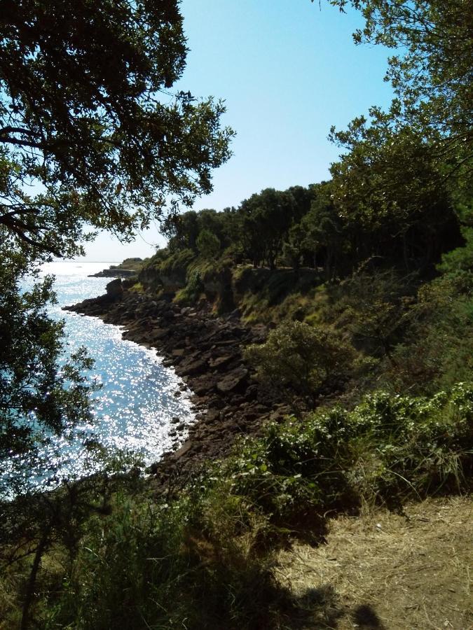 Nid Douillet Daire Rochefort  Dış mekan fotoğraf